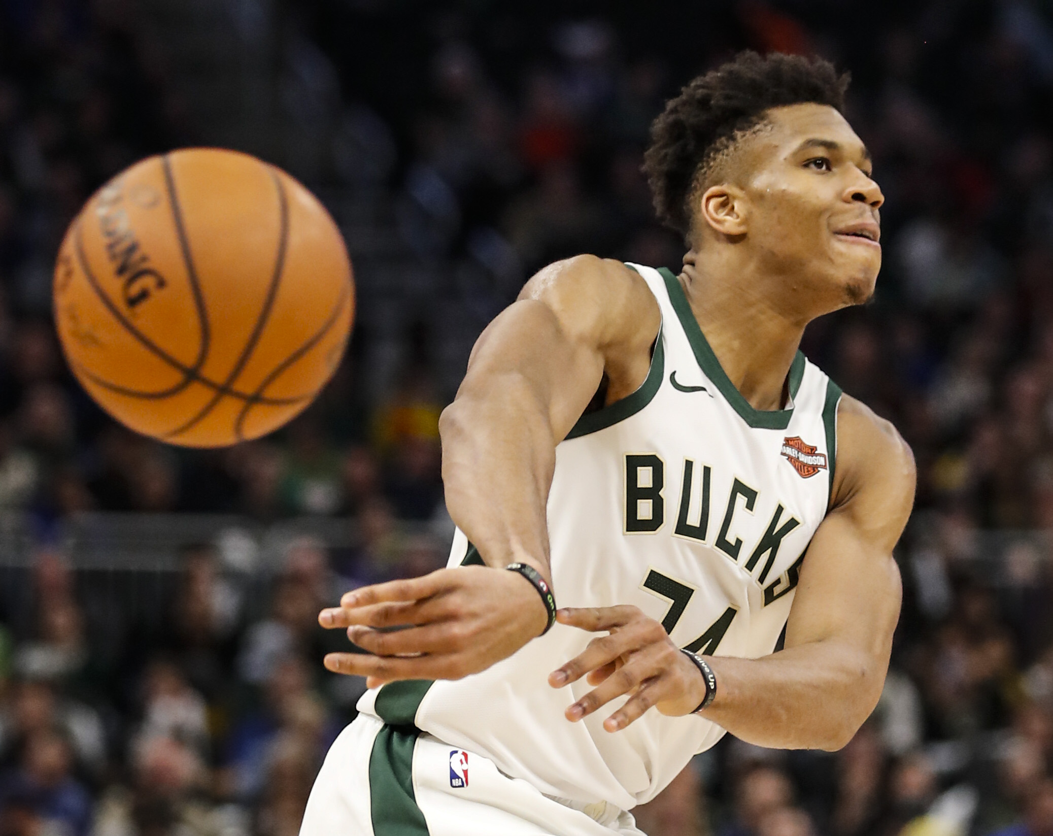 包含转会期皇家马德里备战亚冠Ming与80激战G2分钟，今夜密尔沃基雄鹿备战NBA常规赛直接炸裂的词条